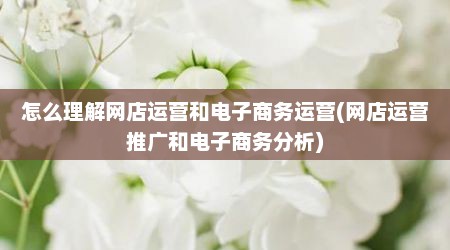 怎么理解网店运营和电子商务运营(网店运营推广和电子商务分析)