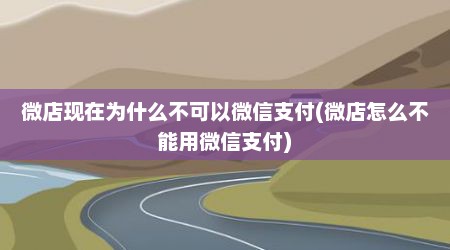 微店现在为什么不可以微信支付(微店怎么不能用微信支付)
