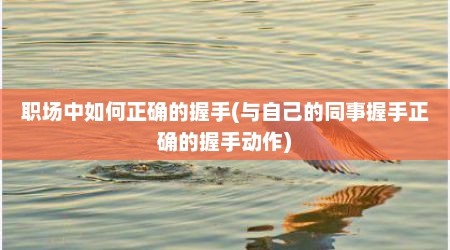 职场中如何正确的握手(与自己的同事握手正确的握手动作)