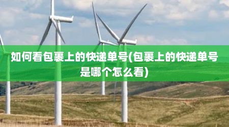 如何看包裹上的快递单号(包裹上的快递单号是哪个怎么看)