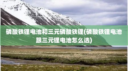 磷酸铁锂电池和三元磷酸铁锂(磷酸铁锂电池跟三元锂电池怎么选)