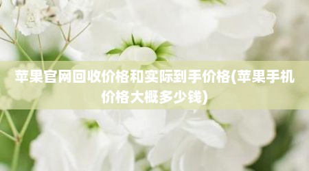 苹果官网回收价格和实际到手价格(苹果手机价格大概多少钱)