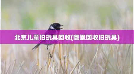 北京儿童旧玩具回收(哪里回收旧玩具)