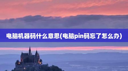 电脑机器码什么意思(电脑pin码忘了怎么办)
