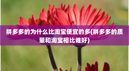 拼多多的为什么比淘宝便宜的多(拼多多的质量和淘宝相比谁好)
