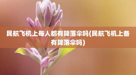 民航飞机上每人都有降落伞吗(民航飞机上备有降落伞吗)