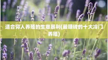 适合穷人养殖的生意暴利(最赚钱的十大冷门养殖)