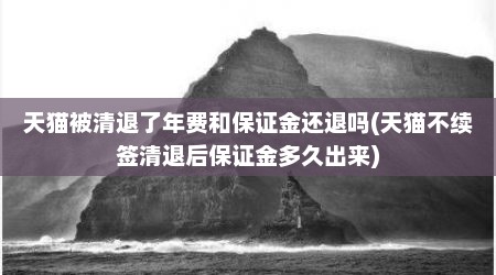 天猫被清退了年费和保证金还退吗(天猫不续签清退后保证金多久出来)
