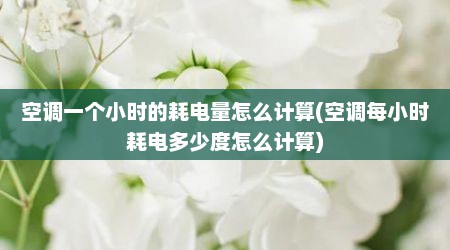 空调一个小时的耗电量怎么计算(空调每小时耗电多少度怎么计算)