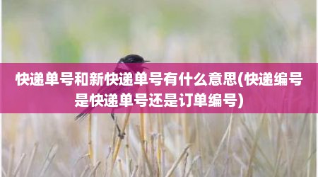 快递单号和新快递单号有什么意思(快递编号是快递单号还是订单编号)