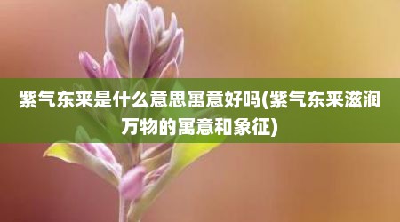 紫气东来是什么意思寓意好吗(紫气东来滋润万物的寓意和象征)