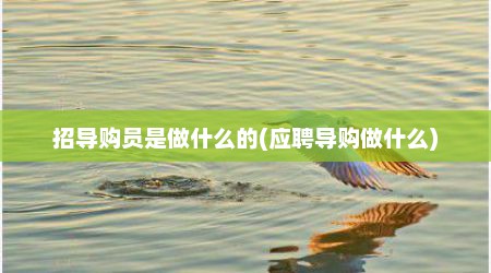 招导购员是做什么的(应聘导购做什么)