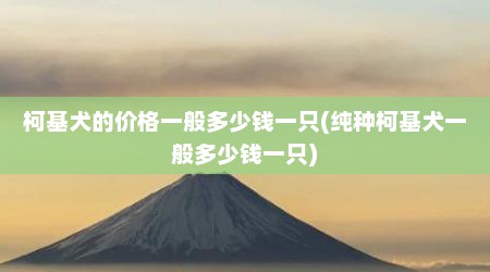 柯基犬的价格一般多少钱一只(纯种柯基犬一般多少钱一只)