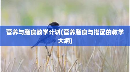 营养与膳食教学计划(营养膳食与搭配的教学大纲)