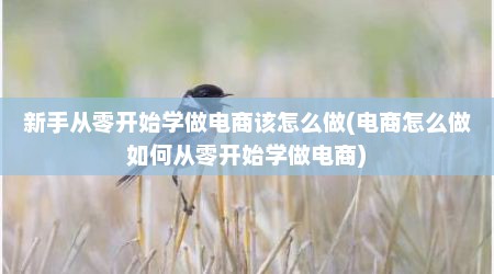 新手从零开始学做电商该怎么做(电商怎么做如何从零开始学做电商)