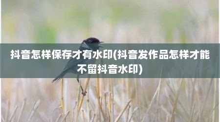 抖音怎样保存才有水印(抖音发作品怎样才能不留抖音水印)