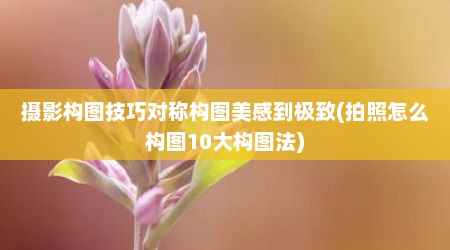 摄影构图技巧对称构图美感到极致(拍照怎么构图10大构图法)