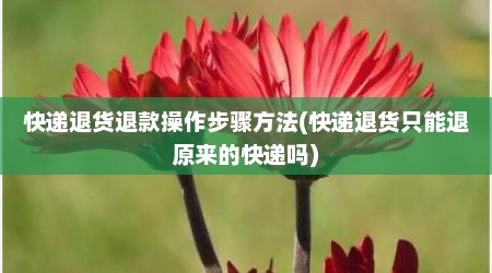 快递退货退款操作步骤方法(快递退货只能退原来的快递吗)