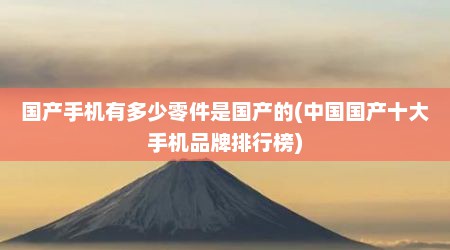 国产手机有多少零件是国产的(中国国产十大手机品牌排行榜)