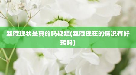 赵薇现状是真的吗视频(赵薇现在的情况有好转吗)