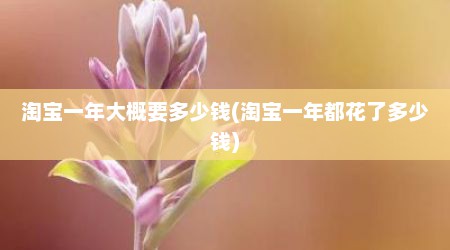 淘宝一年大概要多少钱(淘宝一年都花了多少钱)