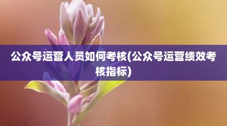公众号运营人员如何考核(公众号运营绩效考核指标)