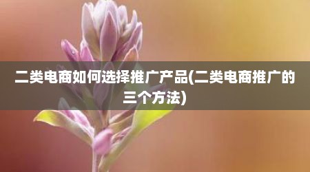二类电商如何选择推广产品(二类电商推广的三个方法)
