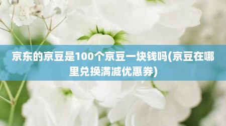 京东的京豆是100个京豆一块钱吗(京豆在哪里兑换满减优惠券)