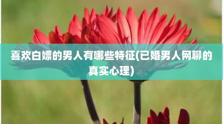 喜欢白嫖的男人有哪些特征(已婚男人网聊的真实心理)