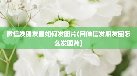 微信发朋友圈如何发图片(用微信发朋友圈怎么发图片)