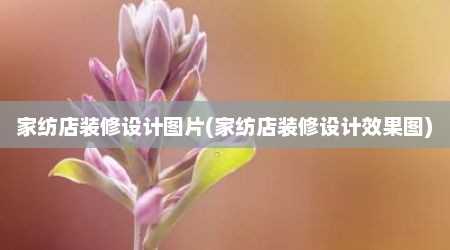 家纺店装修设计图片(家纺店装修设计效果图)