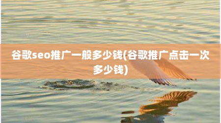 谷歌seo推广一般多少钱(谷歌推广点击一次多少钱)