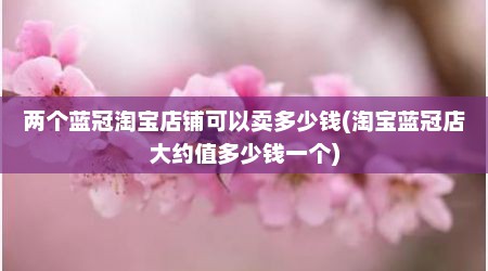 两个蓝冠淘宝店铺可以卖多少钱(淘宝蓝冠店大约值多少钱一个)