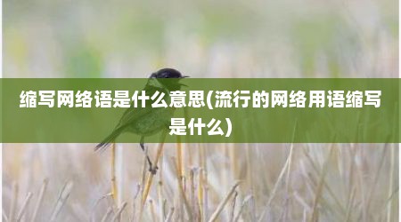 缩写网络语是什么意思(流行的网络用语缩写是什么)