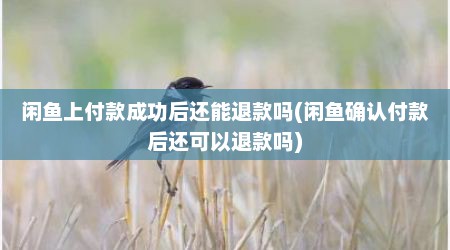 闲鱼上付款成功后还能退款吗(闲鱼确认付款后还可以退款吗)