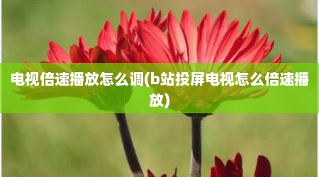电视倍速播放怎么调(b站投屏电视怎么倍速播放)