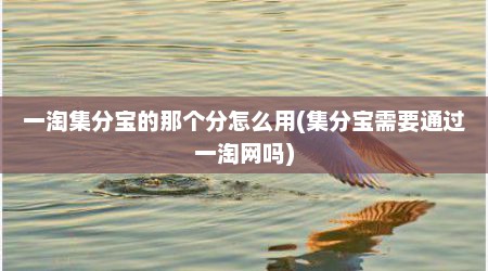 一淘集分宝的那个分怎么用(集分宝需要通过一淘网吗)