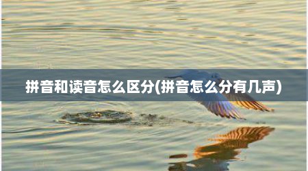 拼音和读音怎么区分(拼音怎么分有几声)