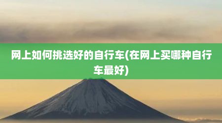 网上如何挑选好的自行车(在网上买哪种自行车最好)