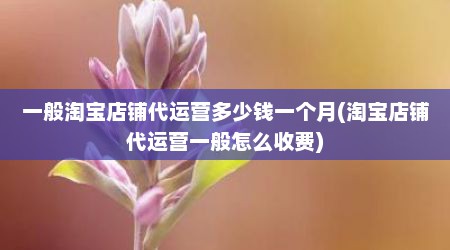 一般淘宝店铺代运营多少钱一个月(淘宝店铺代运营一般怎么收费)