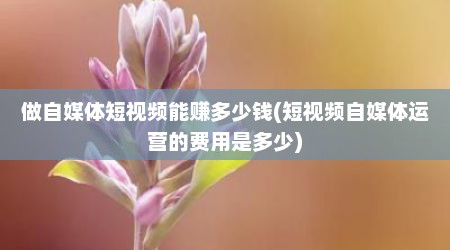 做自媒体短视频能赚多少钱(短视频自媒体运营的费用是多少)