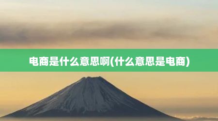 电商是什么意思啊(什么意思是电商)