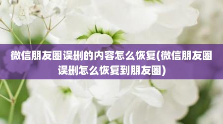 微信朋友圈误删的内容怎么恢复(微信朋友圈误删怎么恢复到朋友圈)