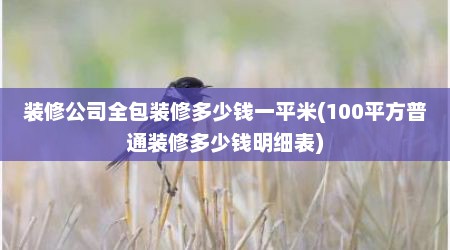 装修公司全包装修多少钱一平米(100平方普通装修多少钱明细表)