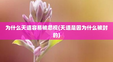 为什么天道容易被忽视(天道是因为什么被封的)