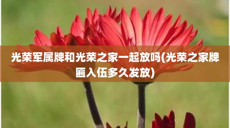 光荣军属牌和光荣之家一起放吗(光荣之家牌匾入伍多久发放)