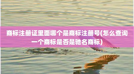 商标注册证里面哪个是商标注册号(怎么查询一个商标是否是驰名商标)