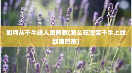 如何从千牛进入淘管家(怎么在淘宝千牛上找到淘管家)