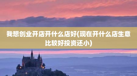 我想创业开店开什么店好(现在开什么店生意比较好投资还小)