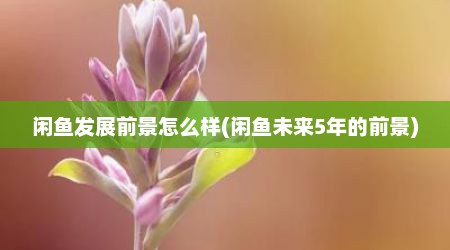 闲鱼发展前景怎么样(闲鱼未来5年的前景)